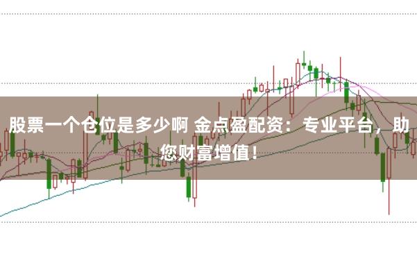 股票一个仓位是多少啊 金点盈配资：专业平台，助您财富增值！