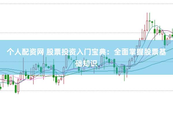 个人配资网 股票投资入门宝典：全面掌握股票基础知识