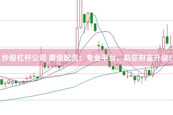 炒股杠杆公司 鼎级配资：专业平台，助您财富升级！