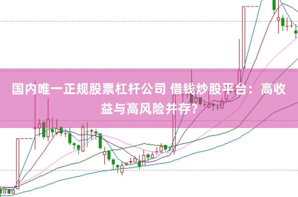 国内唯一正规股票杠杆公司 借钱炒股平台：高收益与高风险并存？